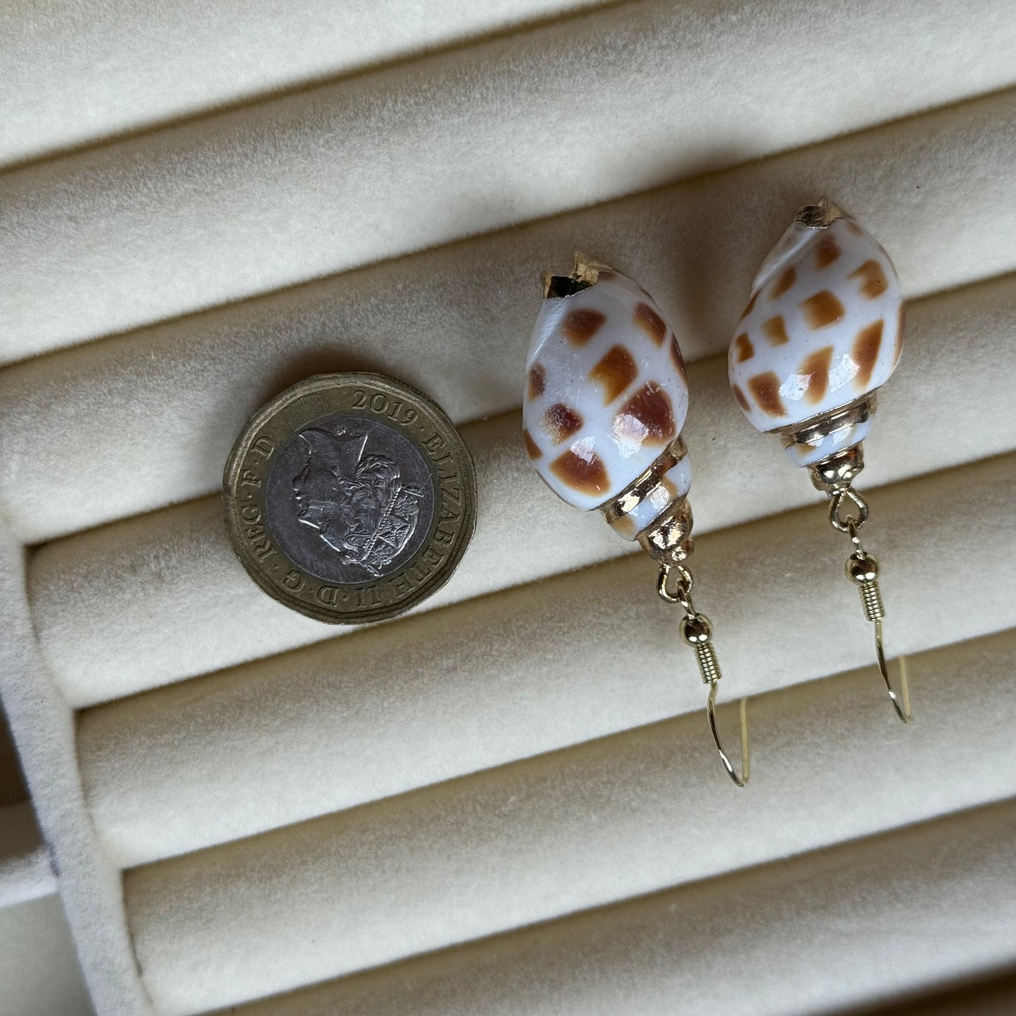 Shell Earrings