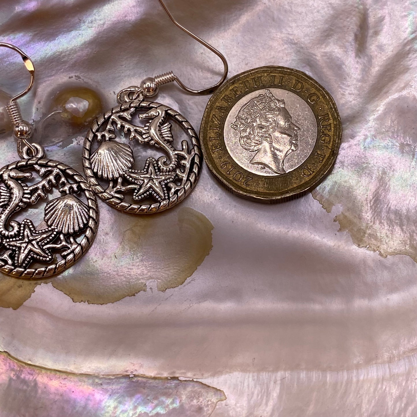 Ocean Scene Earrings