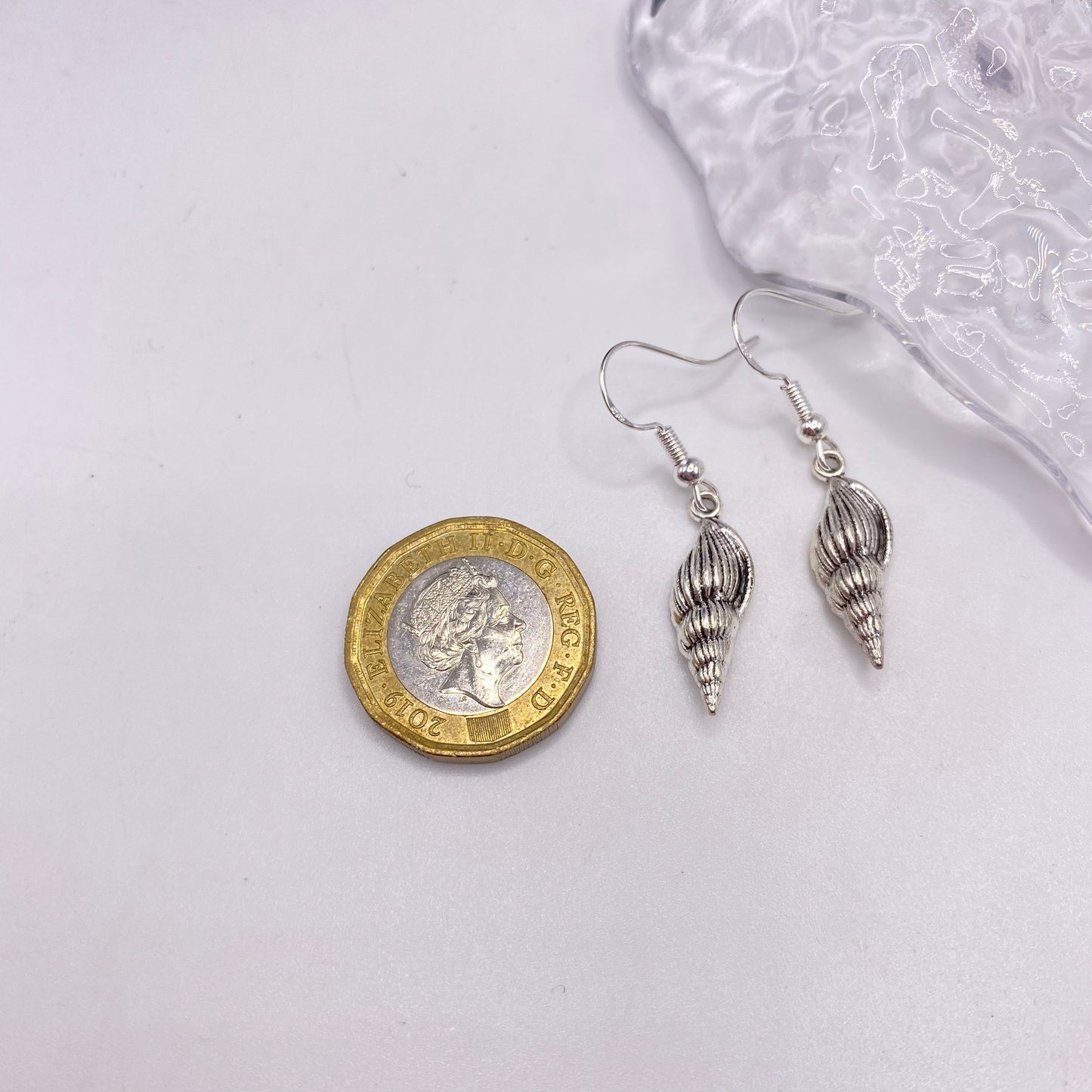Conch Shell Earrings