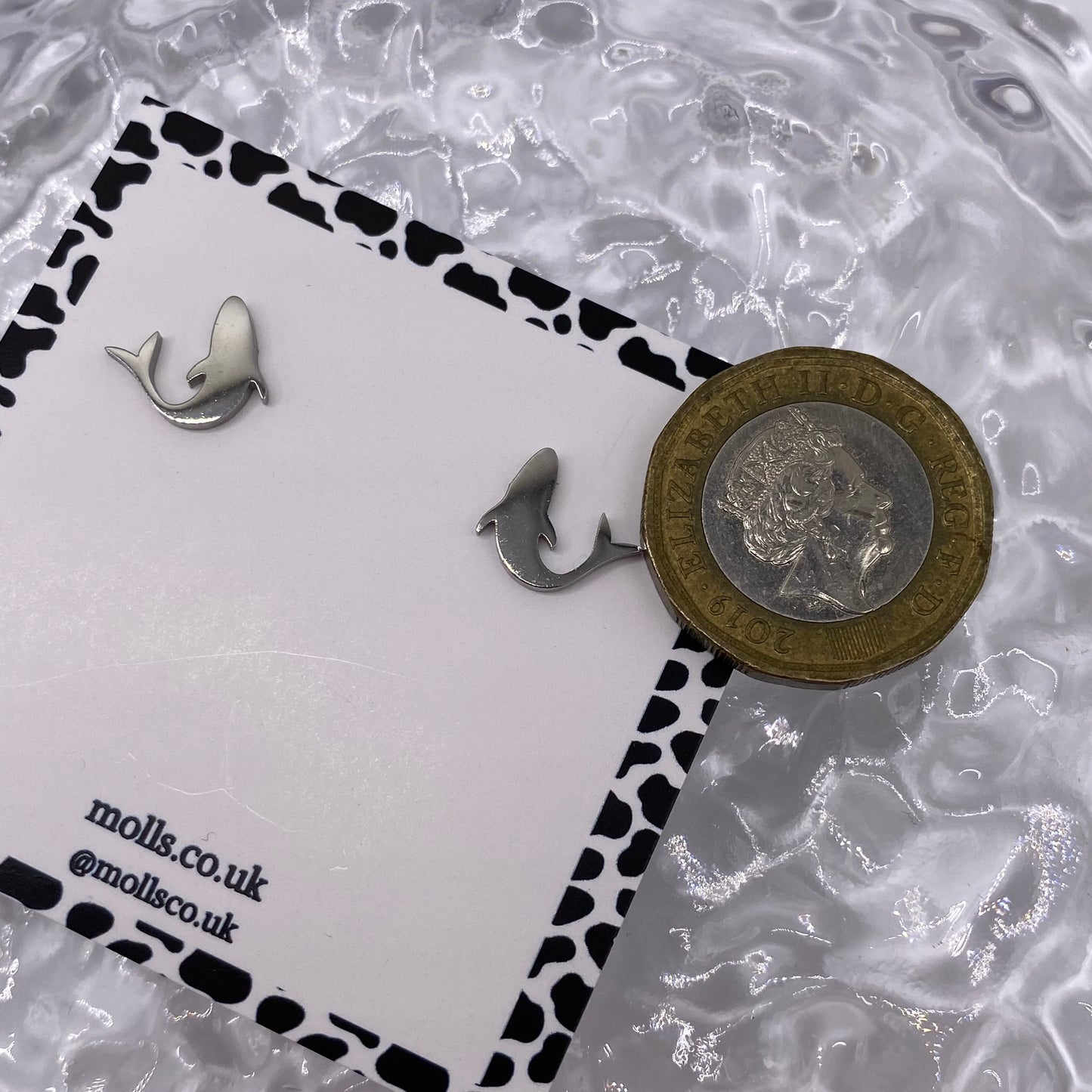 Fish Shark Whale Stud Earrings