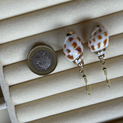 Shell Earrings