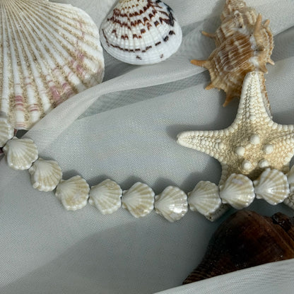 Shell Bracelet