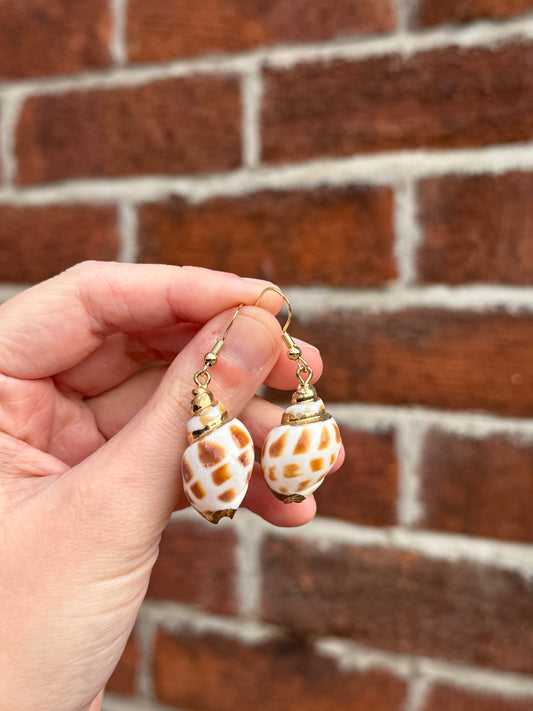 Shell Earrings