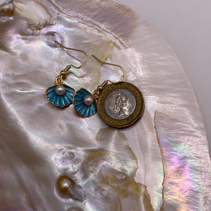 Blue Shell Earrings