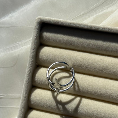Celestial Rings