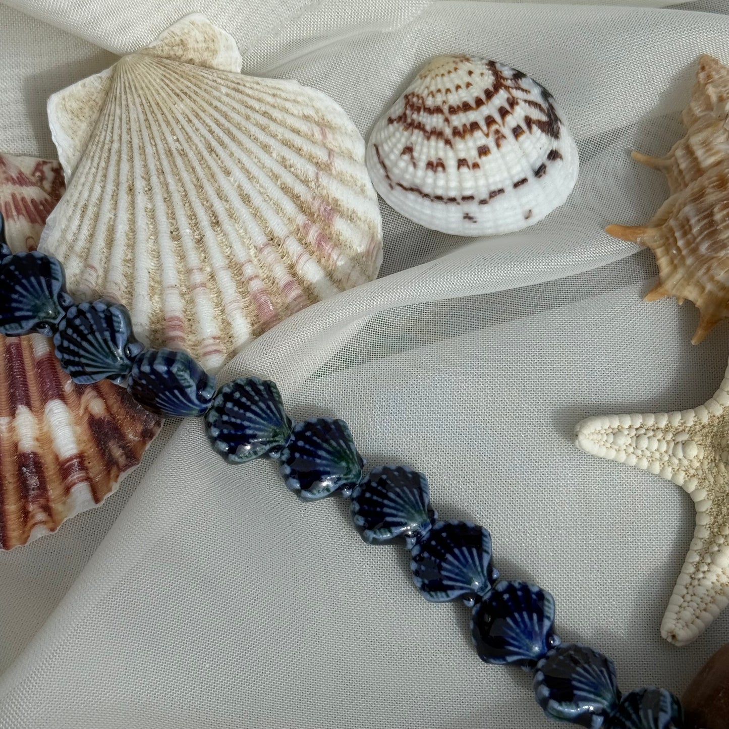 Shell Bracelet