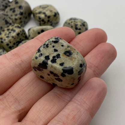 Dalmatian Jasper Crystal Tumble