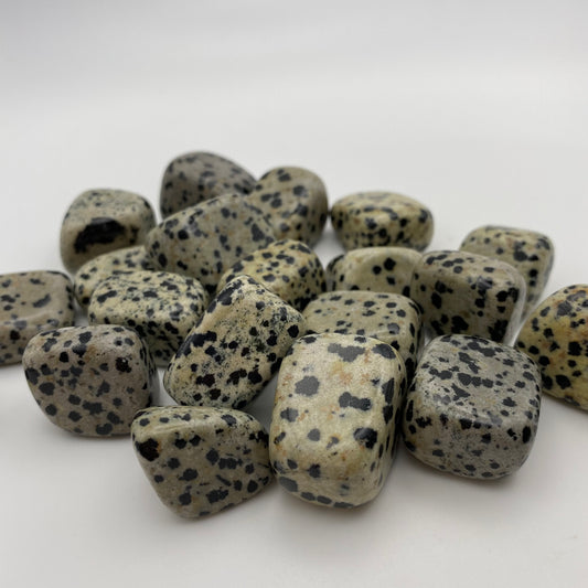 Dalmatian Jasper Crystal Tumble